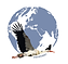Logo Stras'Diplomacy